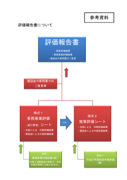 評価報告書