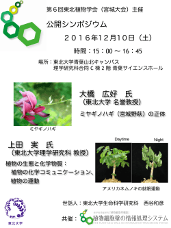 pdfファイル - 東北植物学会