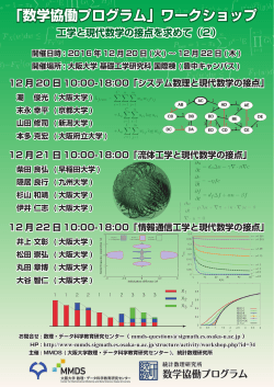 「数学協働プログラム」ワークショップ - 大阪大学 数理・データ科学教育