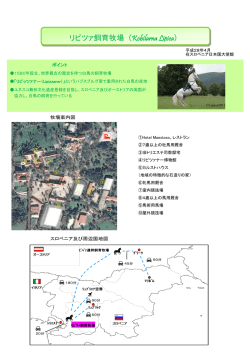 リピツァ飼育牧場（Kobilarna Lipica）