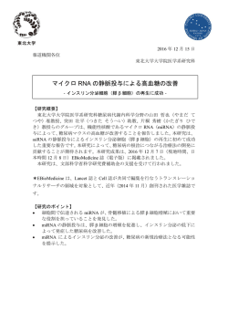マイクロ RNA の静脈投与による高血糖の改善