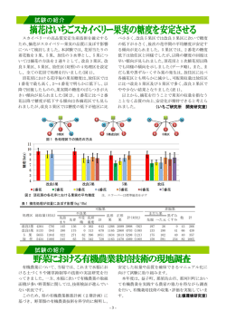 栃木県農業試験場 ニュース