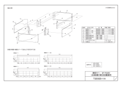 T320029-11A