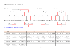 八咫烏CUP2016 大会2日目（12.11）組み合わせ