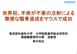 世界初、手術が不要の注射による 簡便な顎骨造成をマウスで成功