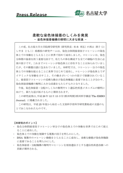 柔軟な染色体接着のしくみを発見