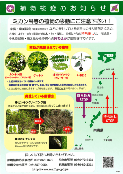 植物検疫のお知らせ