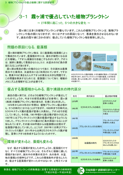 植物プランクトンの優占機構に関する調査研究