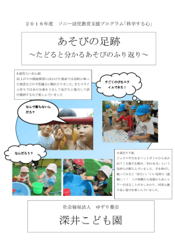 論文PDF - 公益財団法人 ソニー教育財団