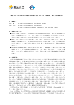 リリース文書［PDF：380KB］