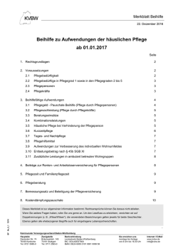 Info &uuml;ber h&auml;usliche Pflege ab 01.01.2017