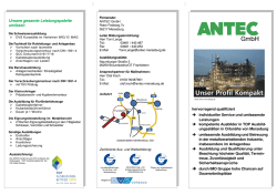 Download: PDF-Datei