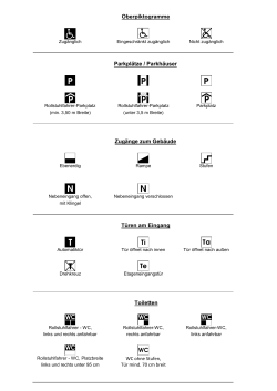 Piktogrammerklärung im PDF-Format - Handicap