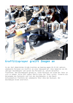 Graffitisprayer greift Zeugen an