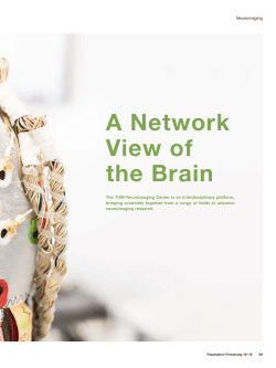 A Network View of the Brain - Technische Universität München