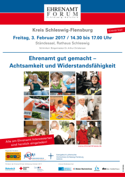 Plakat 2017 - Ehrenamtmessen in Schleswig Holstein
