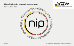 Bilanz Nationales Innovationsprogramm