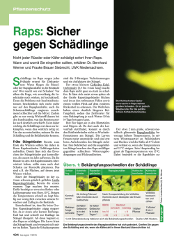 Diesen Beitrag als PDF herunterladen
