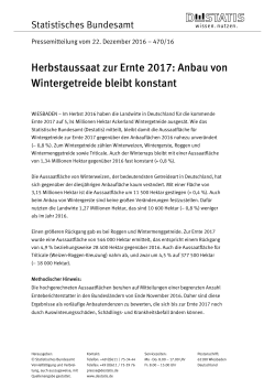 Herbstaussaat zur Ernte 2017: Anbau von Wintergetreide bleibt