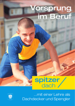 Hoch Hinauf Karriere als Dachdecker Spengler