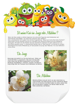 Ist meine Kiwi ein Junge oder M&auml;dchen