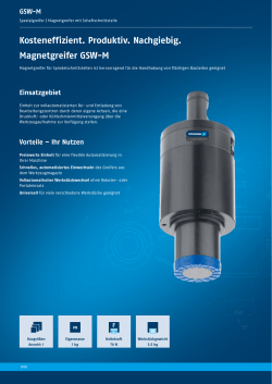 GSW-M - Schunk