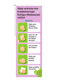 H&auml;nde verbreiten viele Krankheitserreger. Richtiges