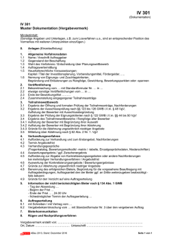 IV 301 Muster Dokumentation (Vergabevermerk)