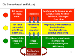 Die Stress-Ampel (n.Kaluza) - Haus&auml;rzteverband Bremen eV