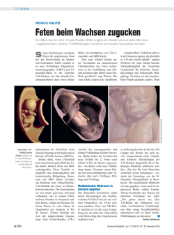 Feten beim Wachsen zugucken
