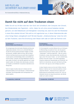 Infoblatt R+V-UnternehmensPolice