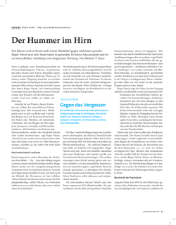 Der Hummer im Hirn - Kommunikation