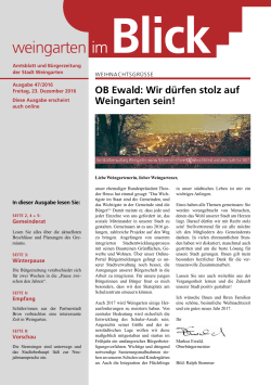 Ausgabe 47/2016 - Weingarten im Blick