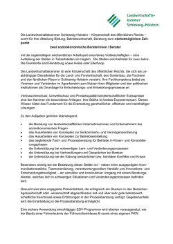 eine sozi&ouml;konomische Beraterin / ein sozi&ouml;konomischer Berater am
