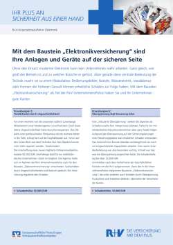 Infoblatt R+V-UnternehmensPolice