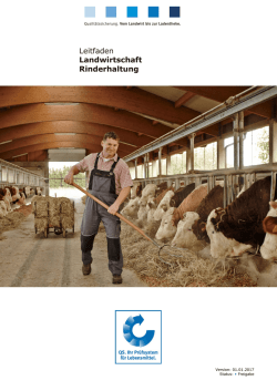 Leitfaden Landwirtschaft Rinderhaltung