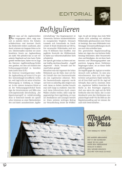 Editorial - Der Anblick