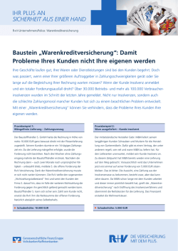 Infoblatt R+V-UnternehmensPolice