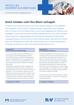 Infoblatt R+V-UnternehmensPolice