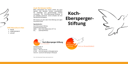 Flyer PDF - Koch-Ebersperger