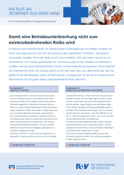 Infoblatt R+V-UnternehmensPolice