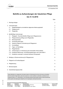 Info &uuml;ber h&auml;usliche Pflege - Kommunaler Versorgungsverband