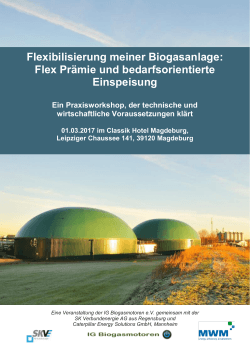 Seminarflyer - IG Biogasmotoren e.V.
