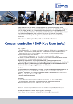 Konzerncontroller / SAP-Key User (m/w)