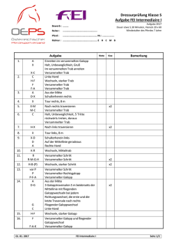 FEI Intermediaire I