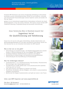 Ingenieur f&uuml;r Qualifizierung und Validierung