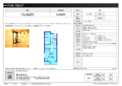 資料PDF - luz