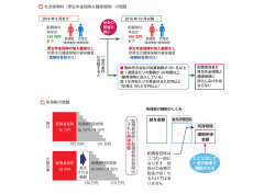 （厚生年金保険＆健康保険）の問題 所得税の問題 配偶者控除と配偶者