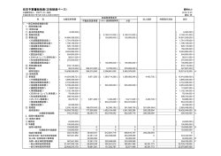 収支予算書総括表（正味財産ベース）