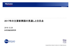 2017年の主要新興国の見通しと注目点